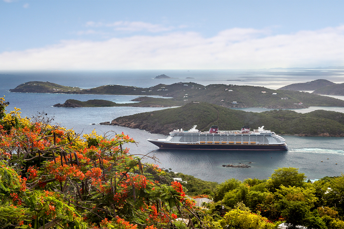 Une entrée dans un littoral des Caraïbes riche en fleurs, en palmiers et en arbustes